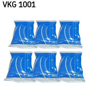 Grasso - VKG 1001 SKF